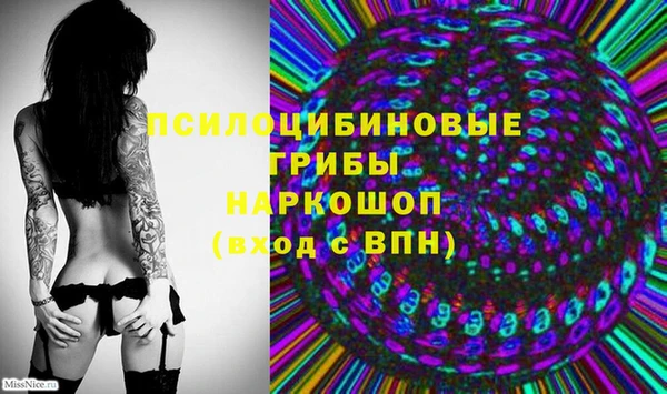 кокс Снежногорск