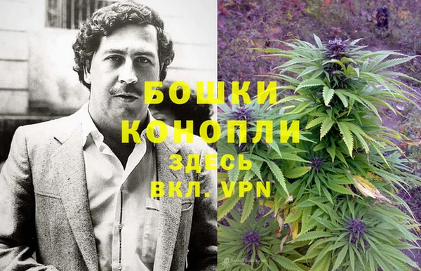 ПСИЛОЦИБИНОВЫЕ ГРИБЫ Слюдянка