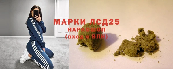 ПСИЛОЦИБИНОВЫЕ ГРИБЫ Слюдянка