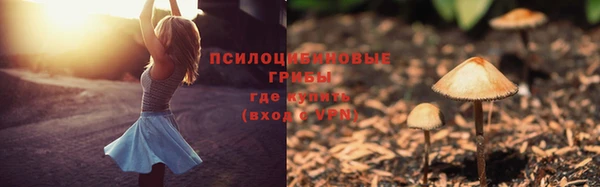 кокс Снежногорск