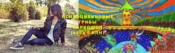 кокс Снежногорск