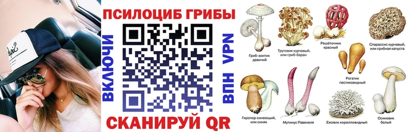 Купить где  Жуков  Галлюциногенные грибы прущие грибы 