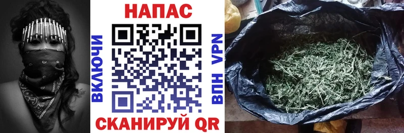 Конопля AK-47  Купить закладки  Жуков 